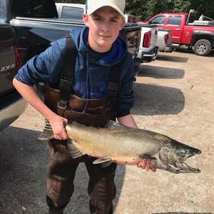 Meet your Posher, Jackson